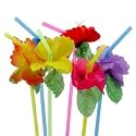 Hibiscus Flower Bendable Straws
