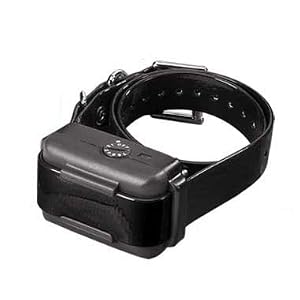 Dogtra® No-Bark Collar for Large Breeds