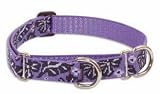Lupine Large Martingale Style Dog Collar - Surf Pup 15-22
