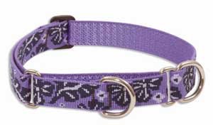 Lupine Large Martingale Style Dog Collar - Surf Pup 15-22