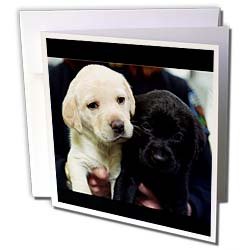 image link - - B000VG75GK