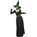 Hexen-Kost�m Halloween f�r Damen