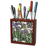 Patricia Sanders Flowers - natures beauty II - Tile Pen Holders-5 inch tile pen holder