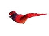 Clark Collection Sunbird Window Magnet CC1406011