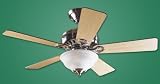 Ceiling Fan Lights