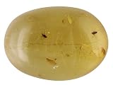 MM VARIES OVAL LARGE COPAL