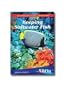 Keeping Saltwater Fish (Essential Guide)