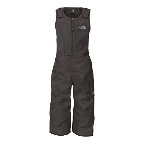 The North Face Insulated Snowdrift Bib Toddlers Ski Pants