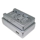 Lenmar SOLOXP-X2 Universal Li-Ion Travel Charger with USB Power Port for Panasonic CGA-DU07/14/21, CGA-S001/002, CGR-D120/D220/D320, CGR-S006A/S602/S603, CGR-D53S/D54S, and Samsung SB-L70G/SB-L110G