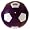 Purple/White