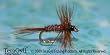 Pheasant Tail