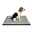 <p>BA&Ntilde;O PORTATIL PARA PERROS UGODOG INDOOR DOG POTTY</p>