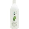 Matrix Biolage Boditfying Conditioner, 33.8-Ounce Bottle