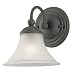 Westinghouse #67015 1LGT Sconce Light Fixture