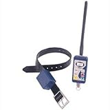 Innotek Command Series Digital Advanced Trainer Two Dogs