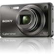 Sony Cyber-shot DSC-W290 12.1 MP Digital Camera with 5x Optical Zoom and Super Steady Shot Image