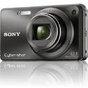 Sony Cyber-shot DSC-W290 12.1 MP Digital Camera with 5x Optical Zoom and Super Steady Shot Image Stabilization (Black)