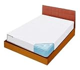 Ideaworks Bed Bug Blockade Mattress Cover- Queen Size Mattress