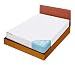 Ideaworks Bed Bug Blockade Mattress Cover- Full Size Mattress