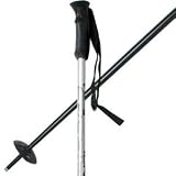 Rossignol Actys Ski Poles