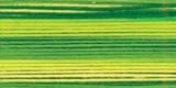 SUPER STITCH QUILTING THREAD 50 WEIGHT 500 YARDS-GREEN VARIEGATED
