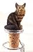 Brown / Red Main Coon Cat Wine Bottle Stopper