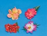 31uz115f8rL. SL160  Hair Flower Clips Costume Accessory