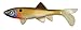 Havoc Sick Fish