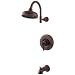 Tools & Hardware : Price Pfister R898YPU Ashfield Collection Tub and Shower Faucet in Rustic Bronze