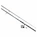 Daiwa TAT761HFB Tatula Bass Flipping Rod, 7'6