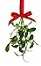 Valentines Mistletoe