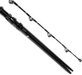 Fenwick Offshore Igfa Trolling Rod Foft20igfa