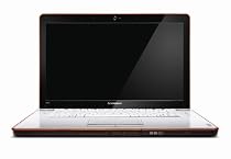 Lenovo IdeaPad Y650-8343UT 16-Inch Laptop