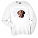 Labrador Retriever Chocolate Human Trainer Adult Sweatshirt
