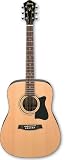 Ibanez V 70