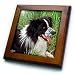 Dogs Border Collie - Border Collie - Framed Tiles