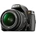 Sony Alpha A230L 10.2 MP Digital SLR Camera with Super SteadyShot INSIDE Image Stabilization and 18-55mm Lens