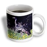 Birds - Wild Turkey Gobbler - Mugs
