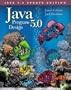 Java 5.0 Program Design An Introduction to Programming & Object-Oriented Design, Update Edition - Text Only