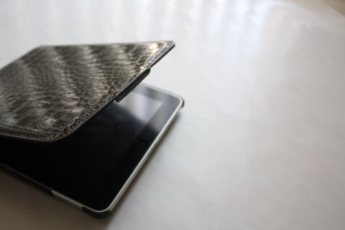 Bear Motion Limited Edition Flip Case for Apple iPad