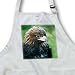 Birds - Golden Eagle - Aprons
