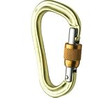 Black Diamond Vaporlock Screwgate Carabiner