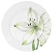 Corelle Lifestyles White Flower 8-1/2-Inch Luncheon Plate