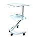 3B Scientific W15065 Carbon Steel Two Shelf Tubular Multi-purpose Rolling Cart, 18" Length x 16.5" Width x 34" Height