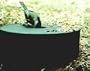 Maxpower Wild Bird Standard Solar Sipper