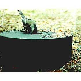 Standard Solar Sipper - Wild Bird Watering Station Birdfeeder Water Accessory by Heated Pet Bowl