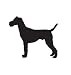 Terrier Dog Pet Irish Terrier Car Truck Vehicle Bumper Helmet Decal Sticker Wall Art Laptop Design Skin Stickers