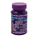 T-Rex Sandfire Super Foods Crested Gecko Diet MRP Meal Replacement Powder 1.75 oz.