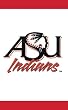 ASU Arkansas State Indians Outdoor Appliqued Collegiate Flag 28" x 48"