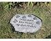 dogs19 - Evergreen Enterprises Dogs Leave Paw Prints on our